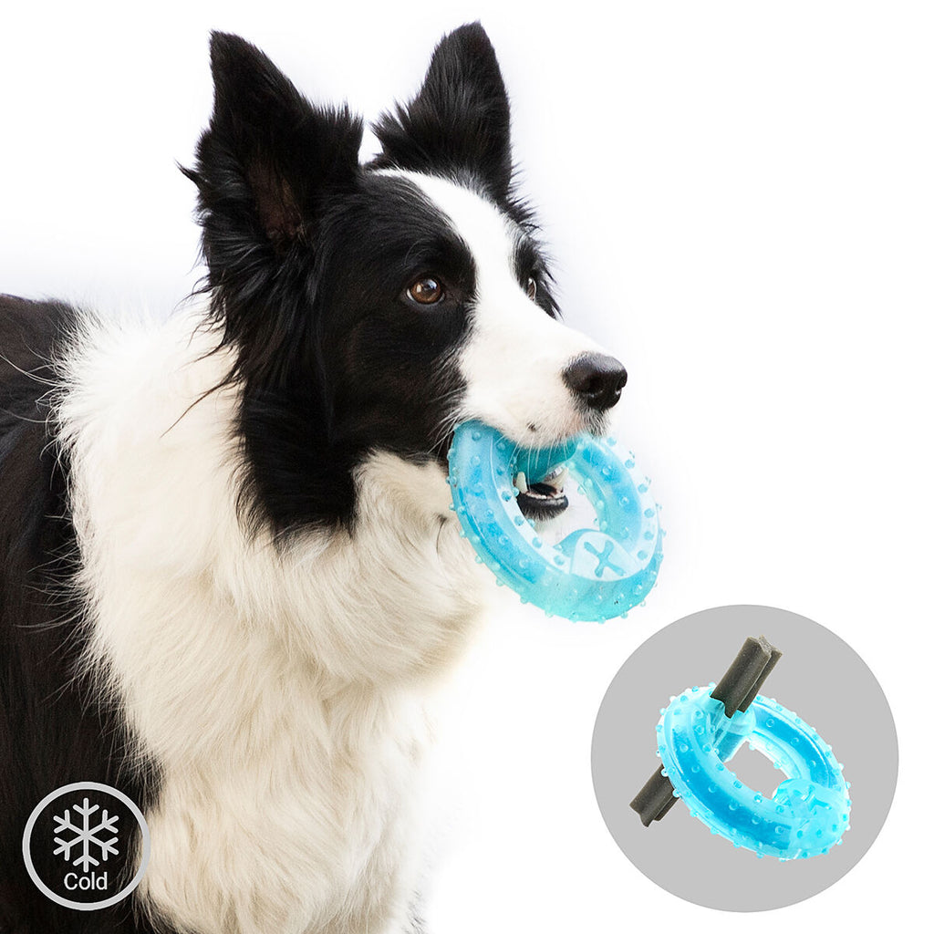 Mordedor congelable para perros 2 en 1