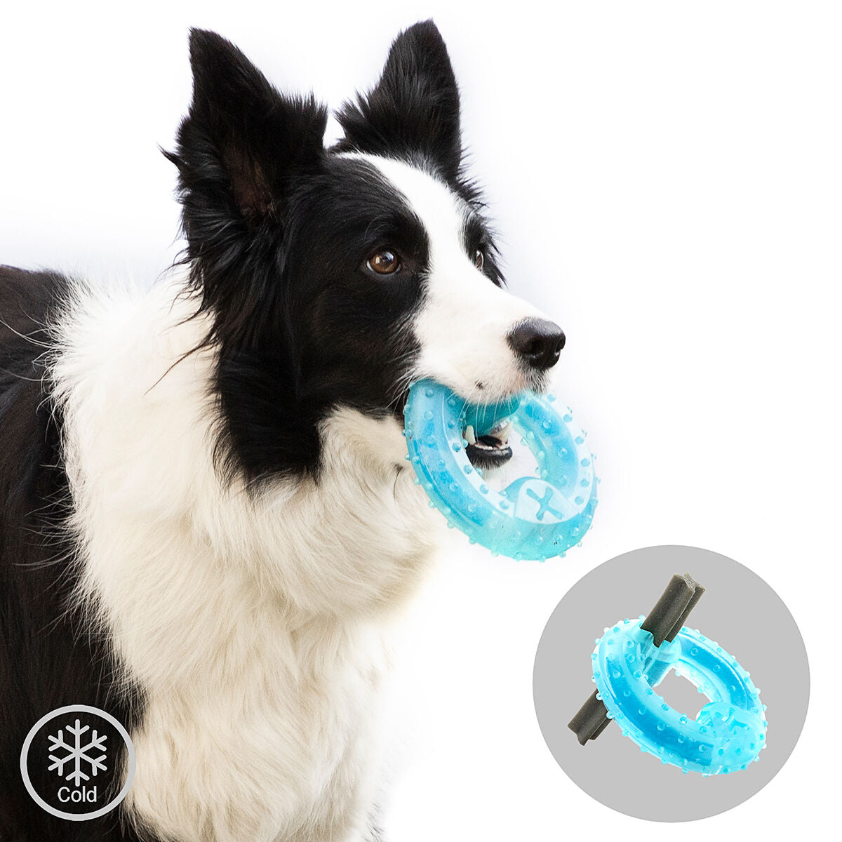 Mordedor congelable para perros 2 en 1