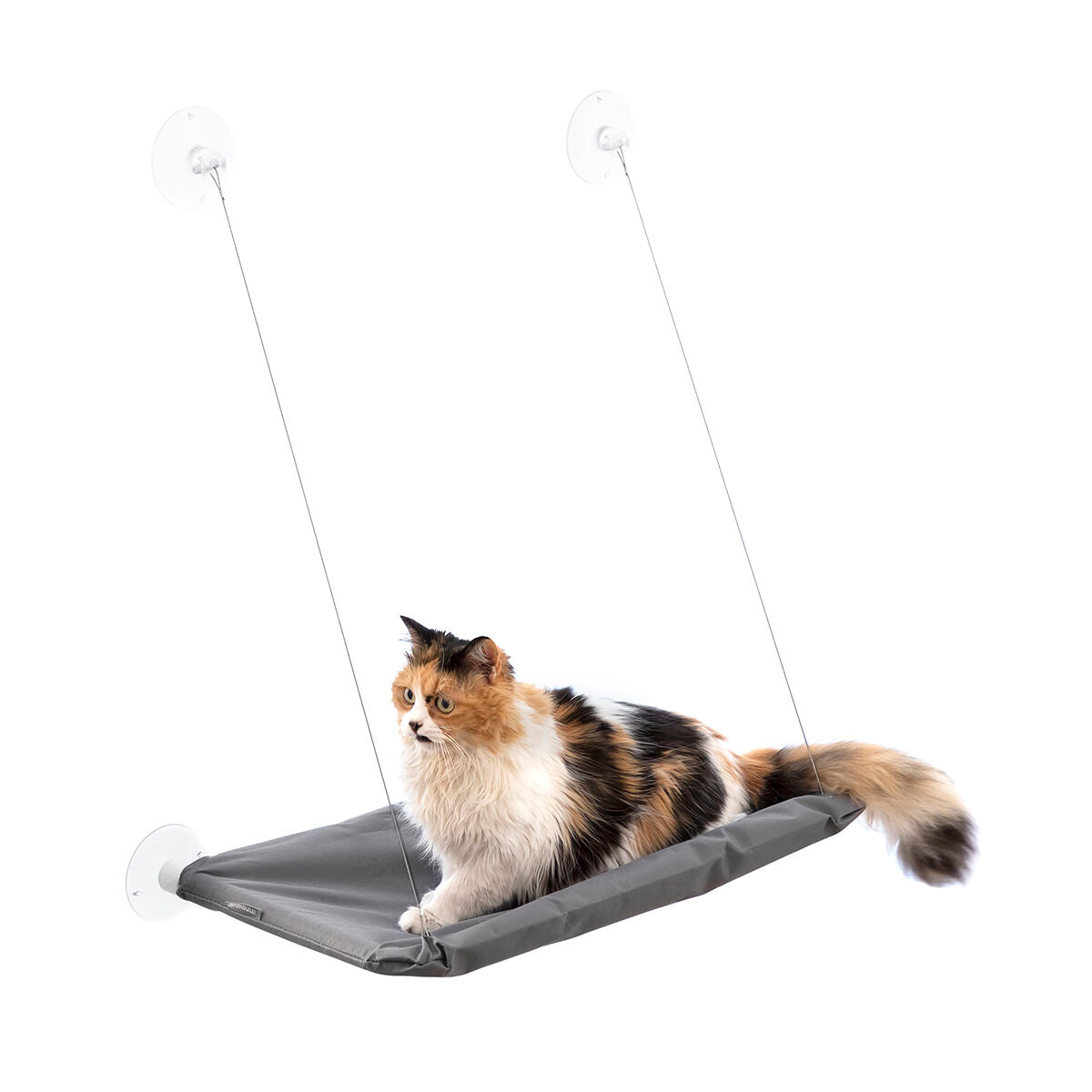 Hamaca de ventana para gatos con ventosas