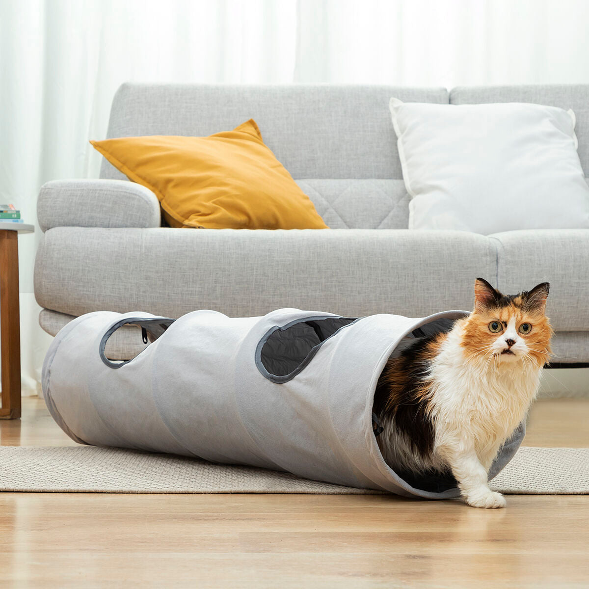 Túnel plegable para gatos