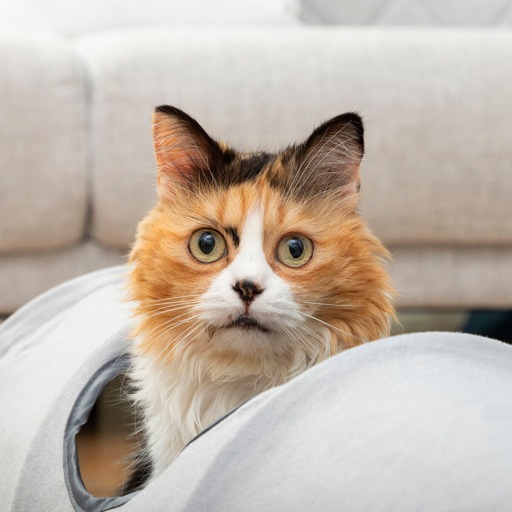 Túnel plegable para gatos