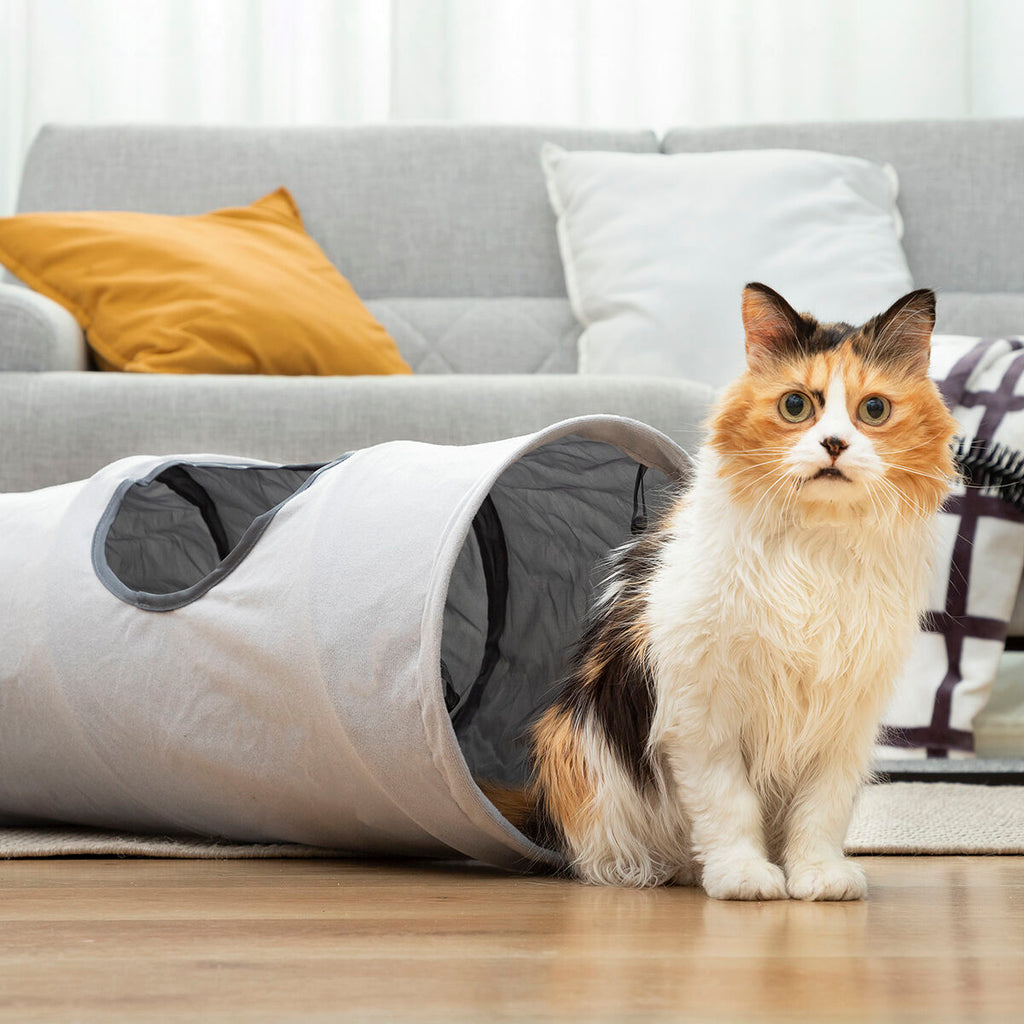 Túnel plegable para gatos