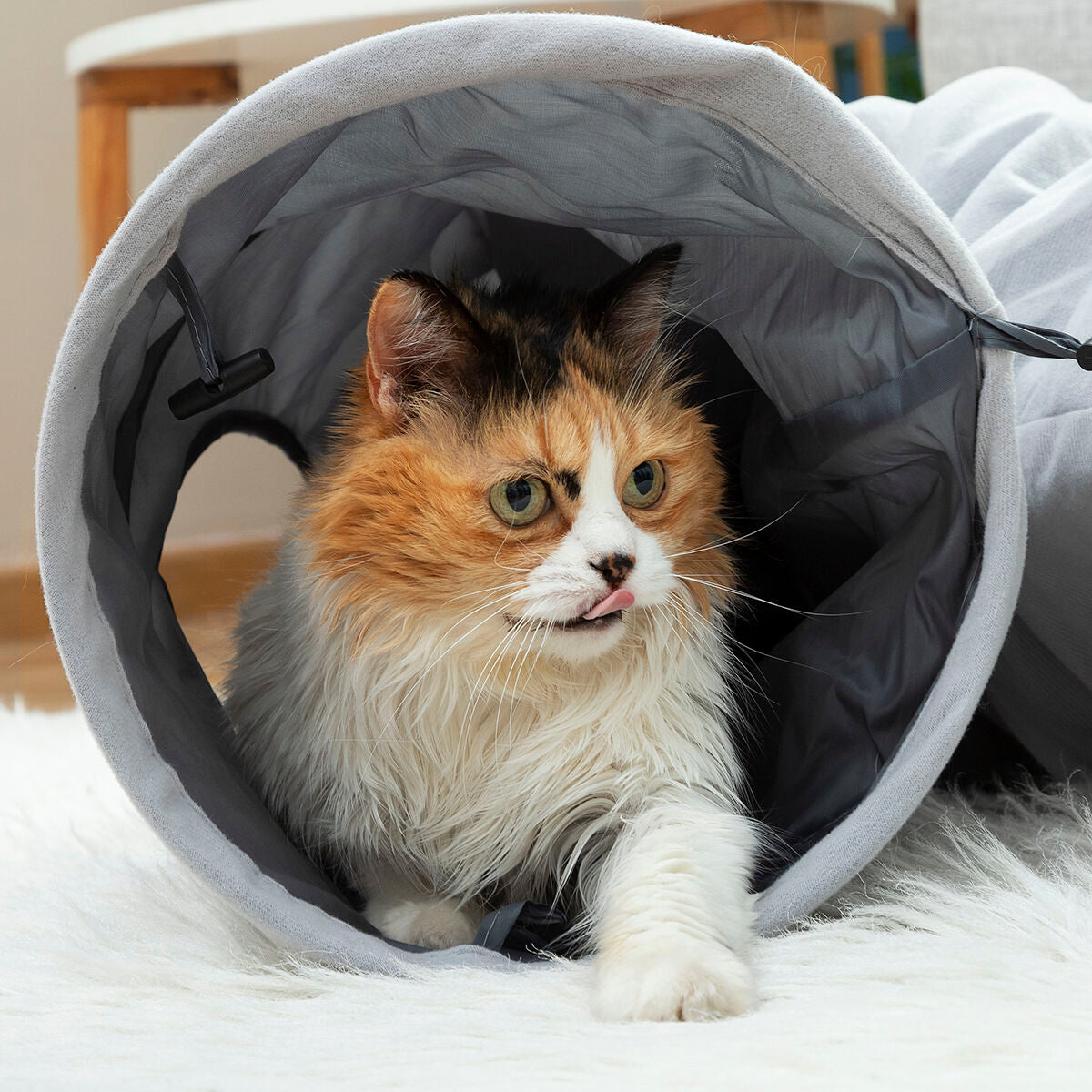Túnel plegable para gatos